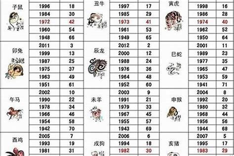 生肖屬狗|2025年屬狗運勢及運程 屬狗的人2025年每月運程